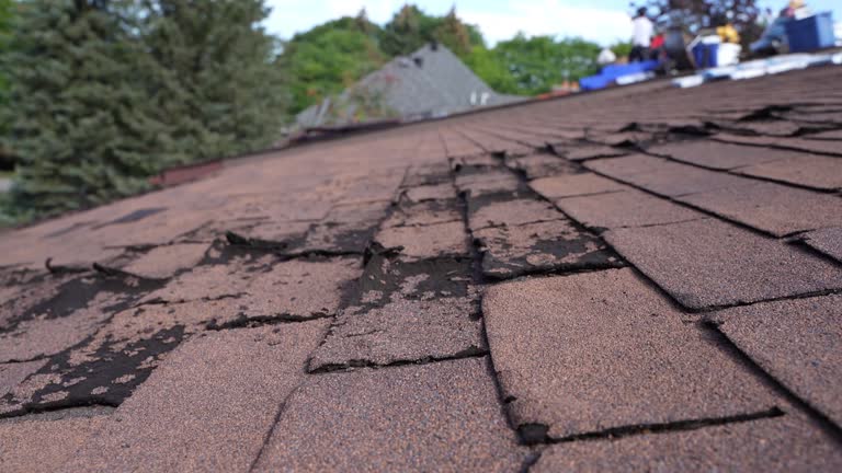 Best Gutter Installation and Repair  in Hazlehurst, MS