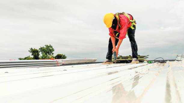 Best Roof Ventilation Installation  in Hazlehurst, MS